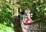 Hängebrücke auf dem Rothaarsteig, 15.05.11
