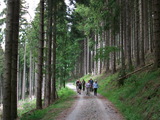 Downhill