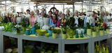 Besichtigung bei Orchideen Koch in Grevenbrück