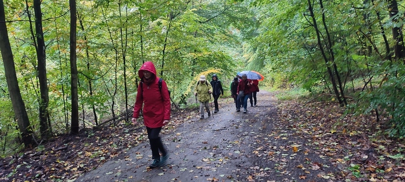 sgv-dienst.frauen_schoenstatt_07.10__1_.jpg.jpg