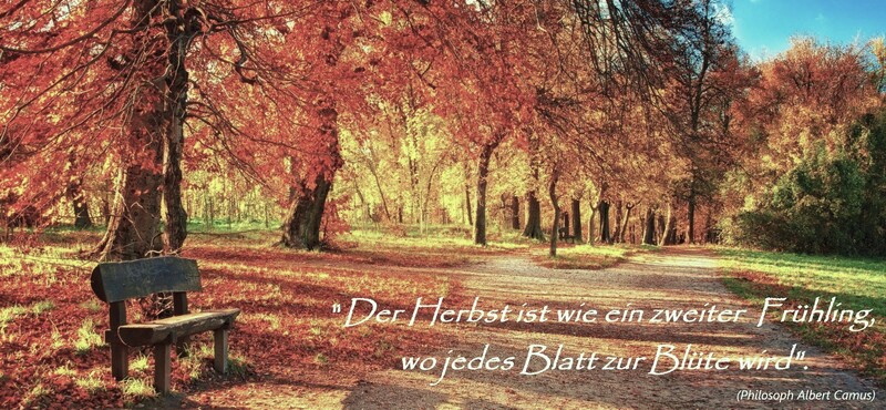 Herbst_Zitat.jpg