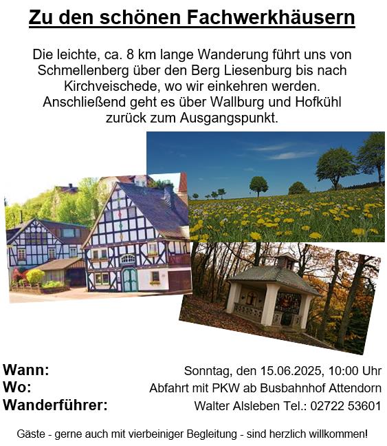 250615_plakat_zu_den_schoenen_fachwerkhaeusern_walter_alsleben.jpg.jpg