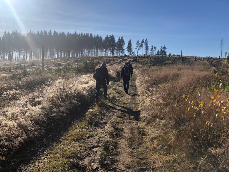 Wanderung auf der Heinsberg Heide.jpg