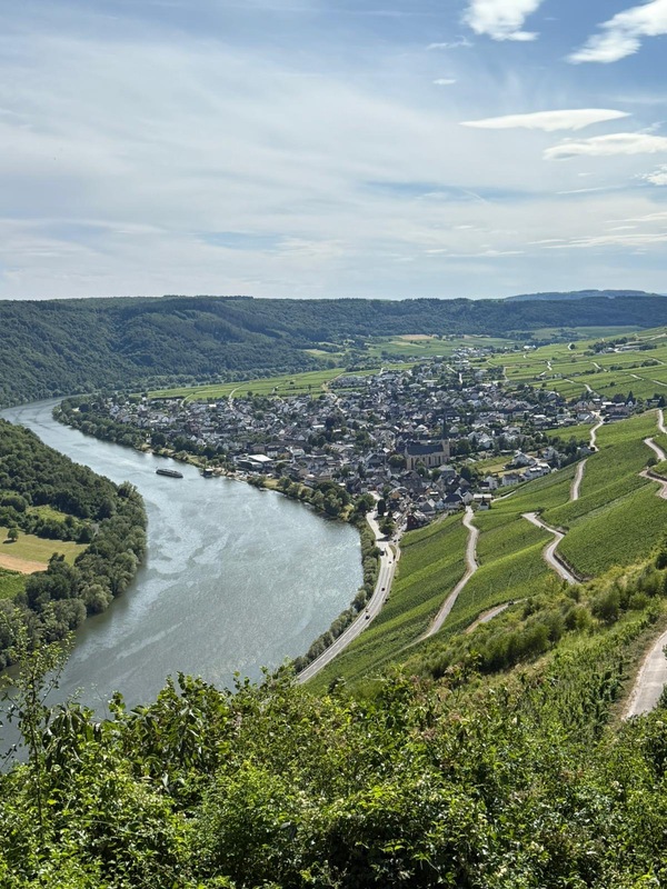 Radtour durch die Weinberge Kröv.jpg