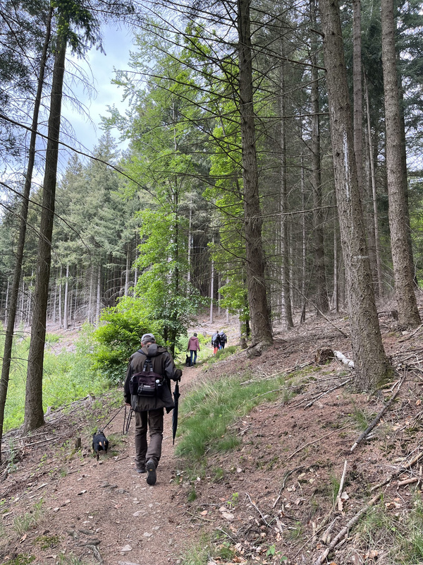Wanderung  auf dem J&auml;gerpfad am Ochsenkopf am 17.5.2026.jpg