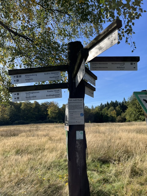 Männerwanderung Bödefeld Nasse Wiese Hunau.jpg