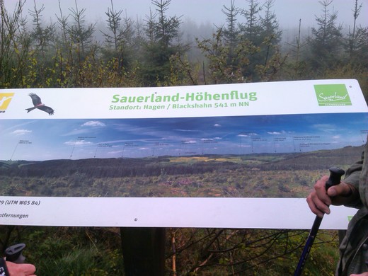 Sauerland Höhenflug.jpg