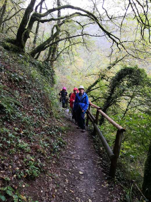 Wanderfreizeit Eifel 2019_4.jpg