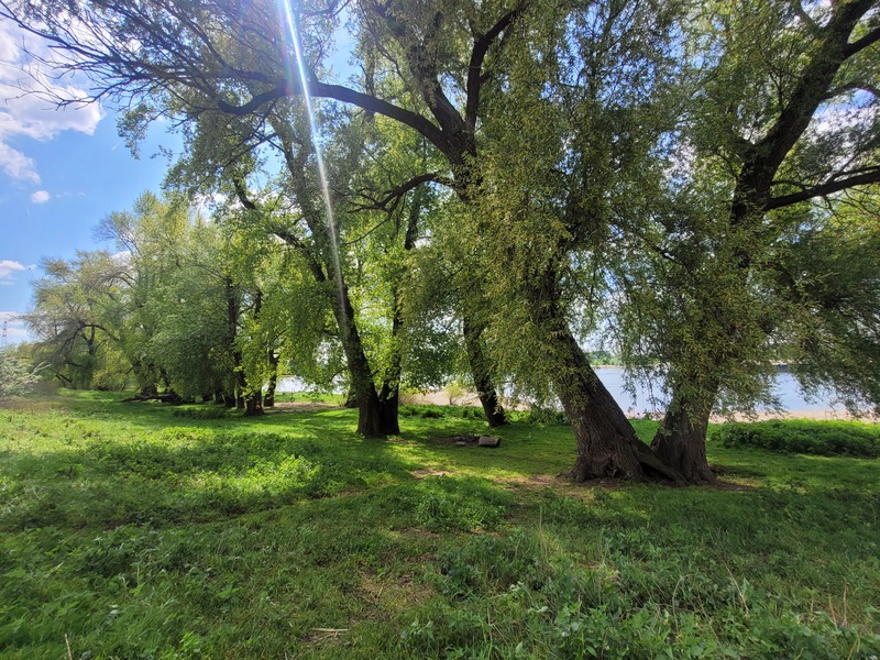 2025-04-26 1000068497.jpg.jpg