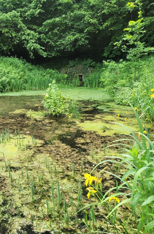 2025-06-03 1000074669.jpg.jpg