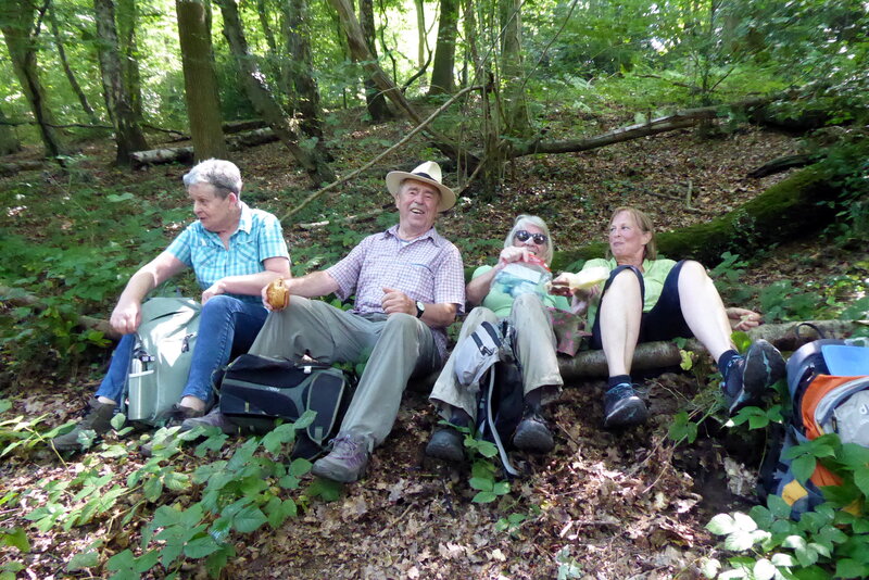 2025-07-19 p1100479_1.jpg.jpg