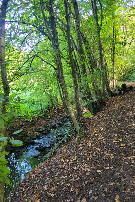 2025-09-06 1000083793__2_.jpg.jpg