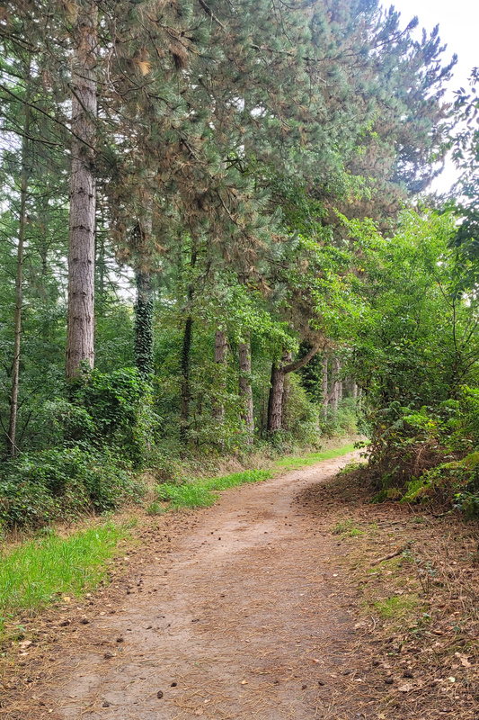 2025-09-17 1000085235__2_.jpg.jpg