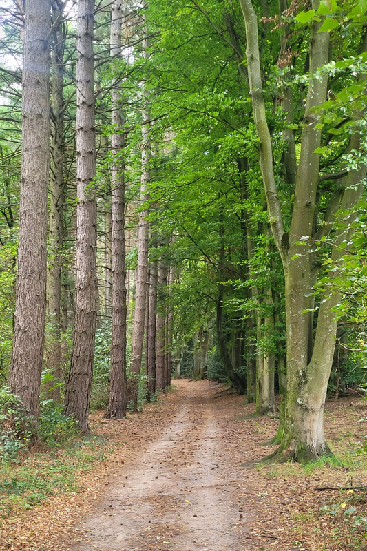 2025-09-17 1000085238__2_.jpg.jpg