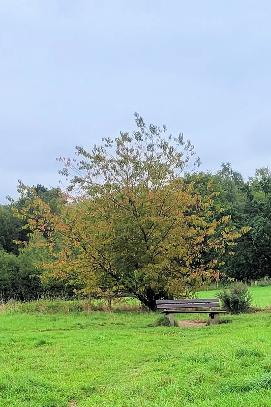 2025-09-17 1000085242__2_.jpg.jpg