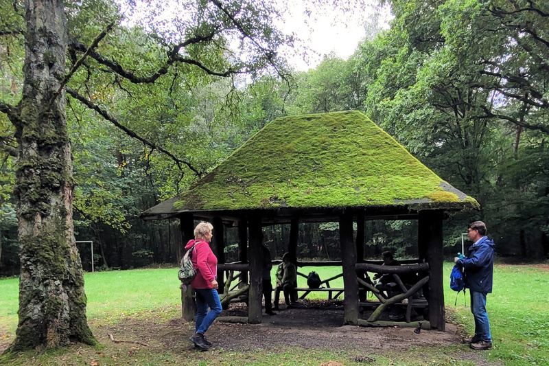 2025-09-17 1000085253__2_.jpg.jpg