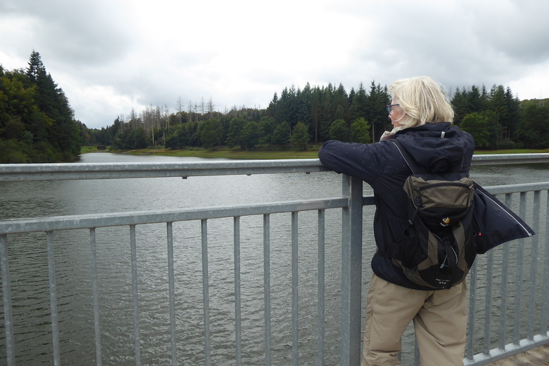 2025-09-21 p1100603.jpg.jpg