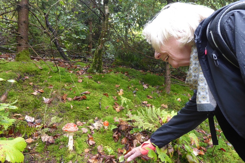 2025-09-21 p1100599.jpg.jpg