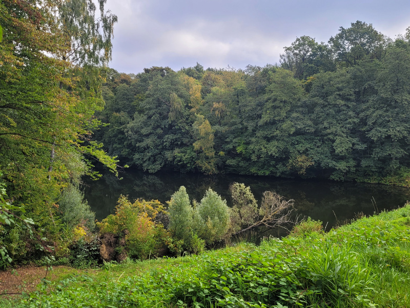 2025-09-27 1000086003.jpg.jpg