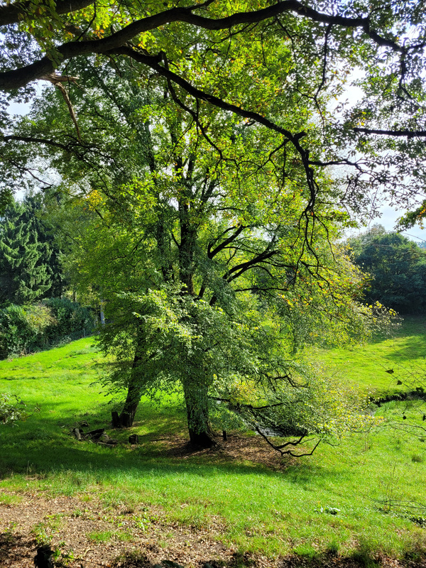 2025-09-27 1000086020.jpg.jpg