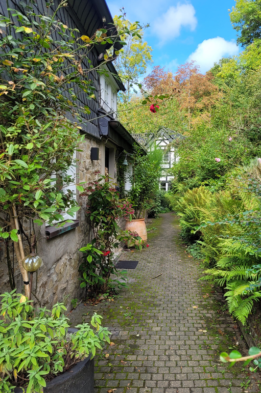 2025-09-27 1000086021.jpg.jpg