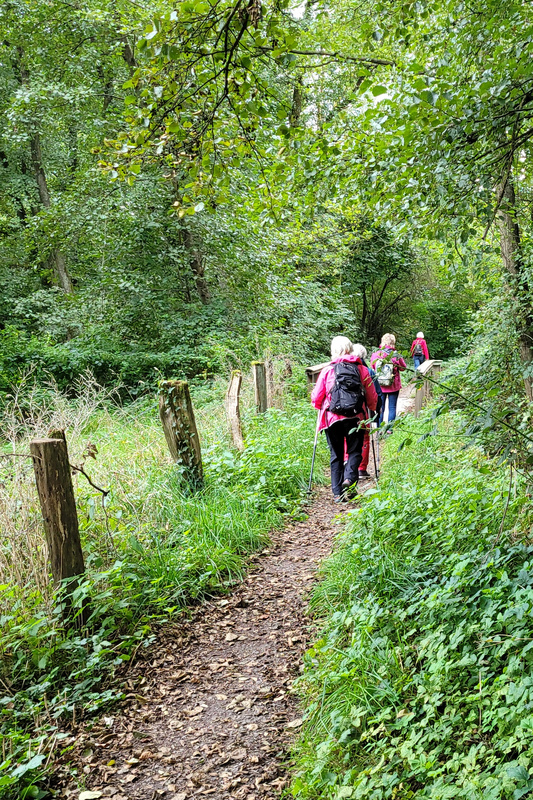 2025-09-27 1000086051__2_.jpg.jpg