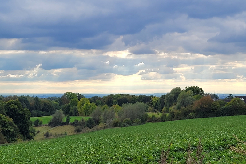 2025-09-27 1000086080__2_.jpg.jpg