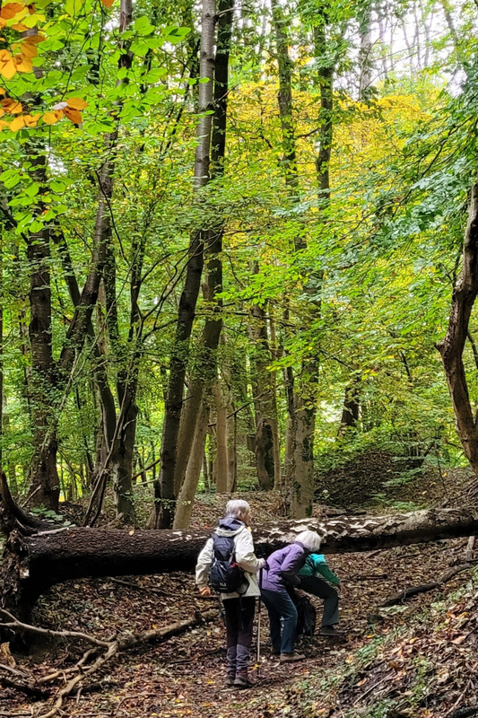 2025-10-11 1000090983__2_.jpg.jpg