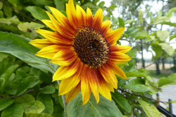 2025-10-11 p1100625__2_1.jpg.jpg