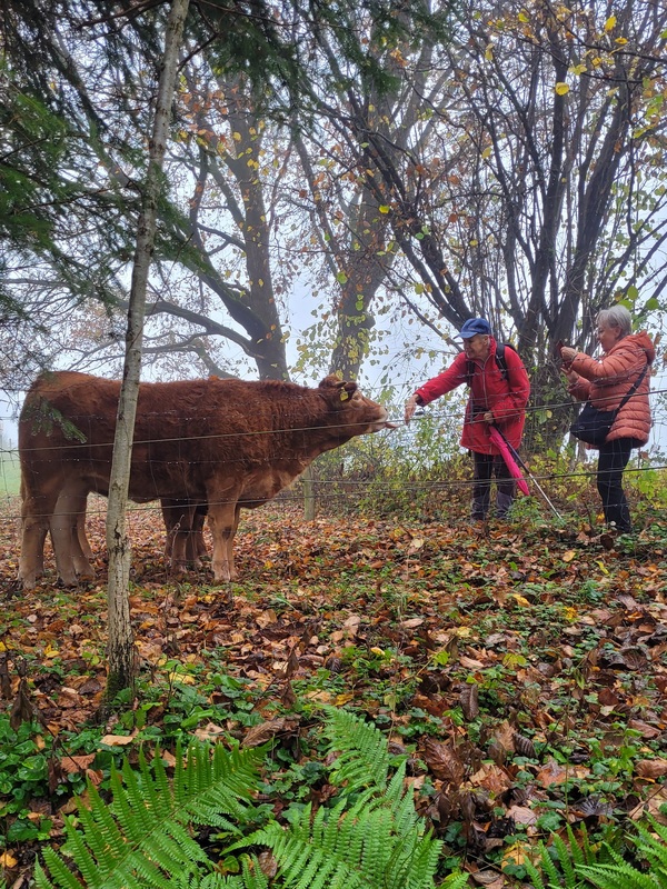 2025-11-16 1000095199.jpg.jpg