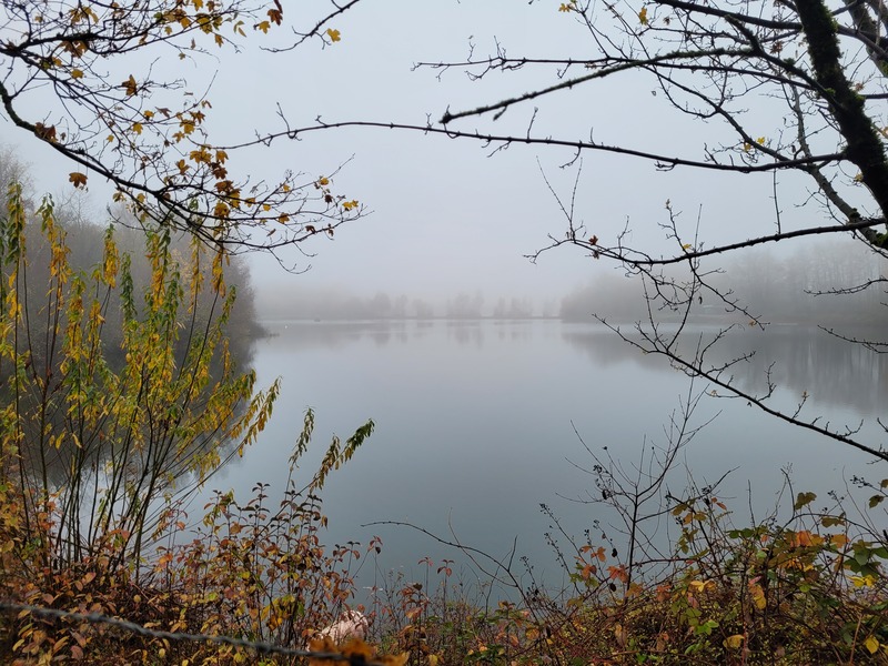 2025-11-16 1000095204.jpg.jpg