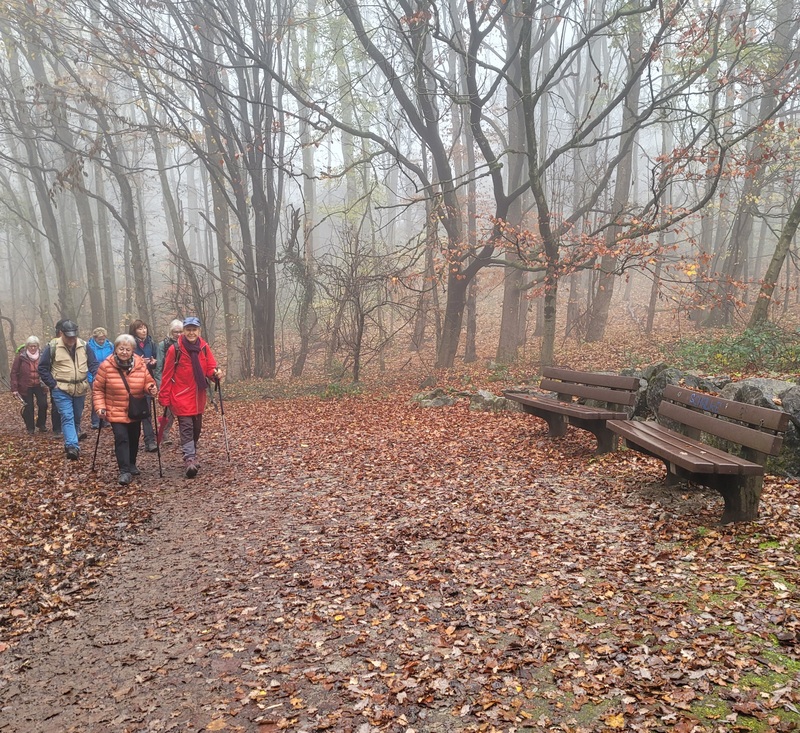 2025-11-16 1000095143.jpg.jpg