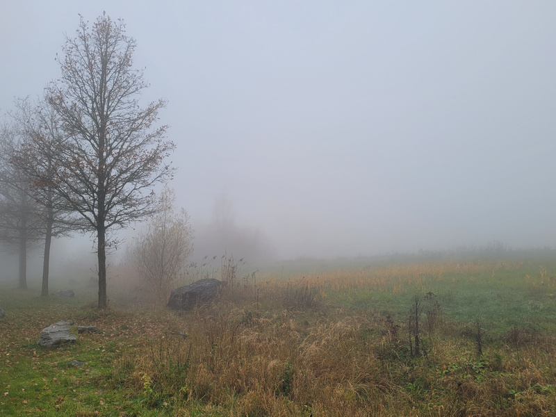 2025-11-16 1000095148.jpg.jpg