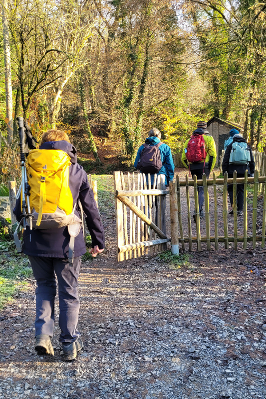 2025-11-22 1000095714__4_.jpg.jpg