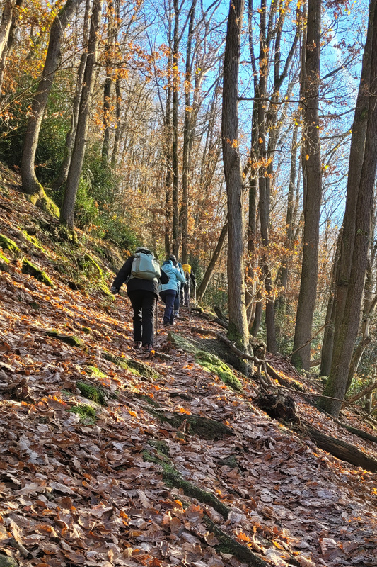 2025-11-22 1000095722__2_.jpg.jpg