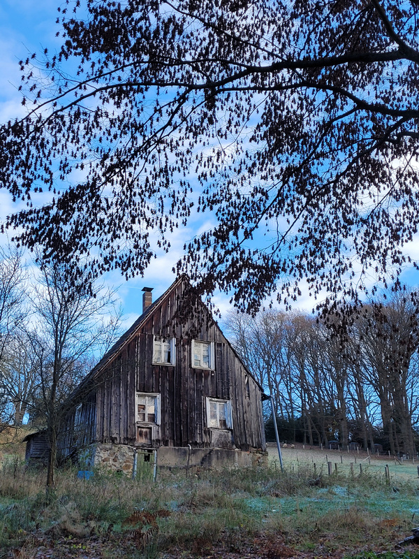 2025-11-22 1000095724__2_.jpg.jpg