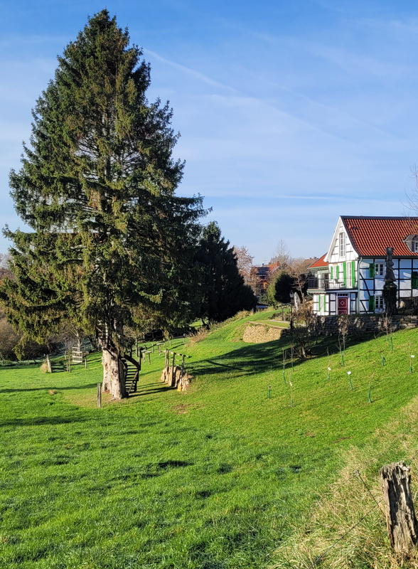 2025-11-22 1000095732.jpg.jpg