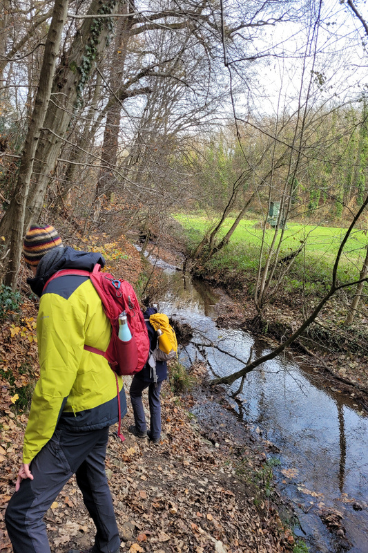 2025-11-22 1000095797__2_.jpg.jpg