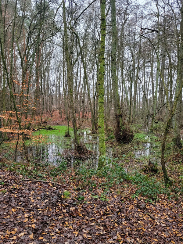 2025-12-13 1000097918__3_.jpg.jpg