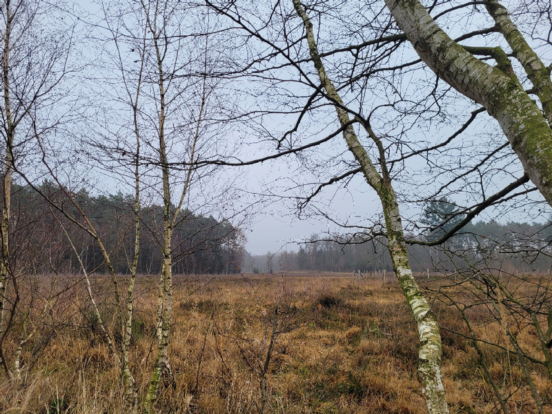 2025-12-13 1000097977__2_.jpg.jpg