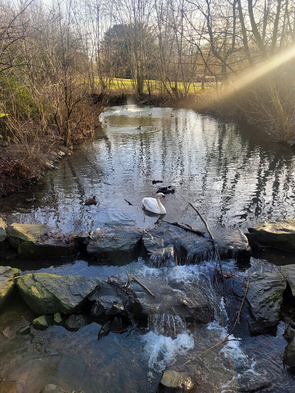 2026-01-17 1000101599.jpg.jpg