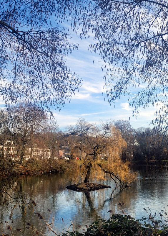 2026-01-17 1000101615_1.jpg.jpg