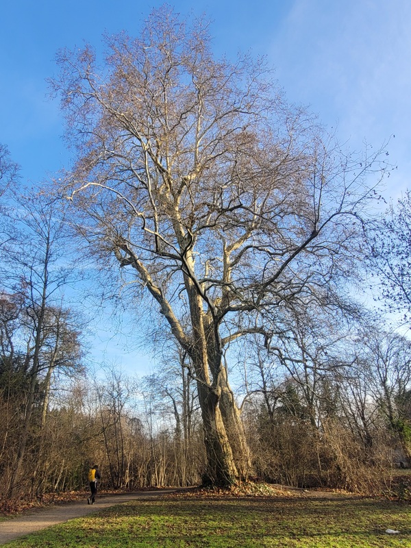 2026-01-17 1000101613.jpg.jpg