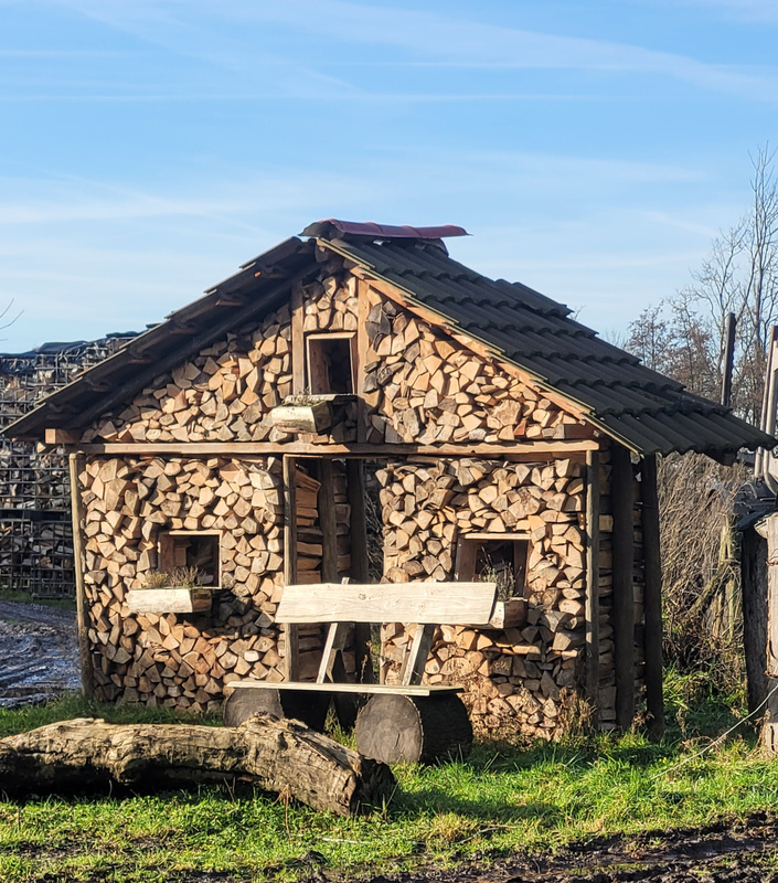 2026-01-17 1000101622__2_.jpg.jpg