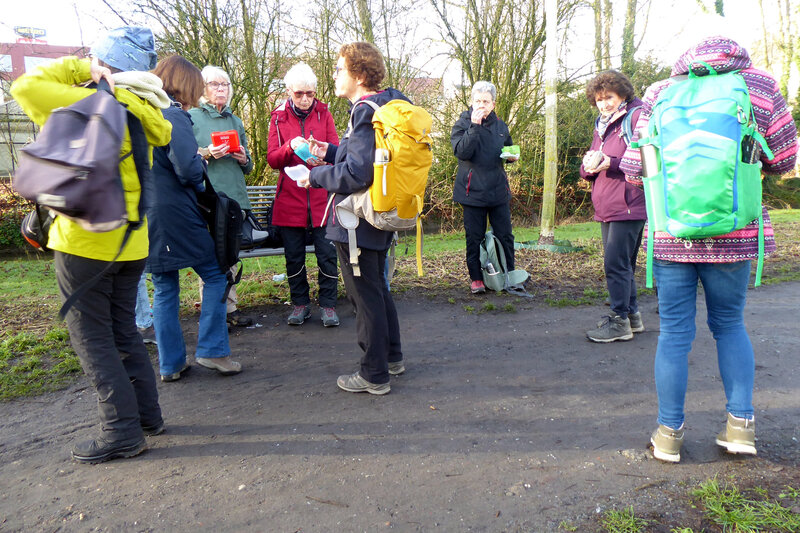 2026-01-17 p1100889__2_.jpg.jpg