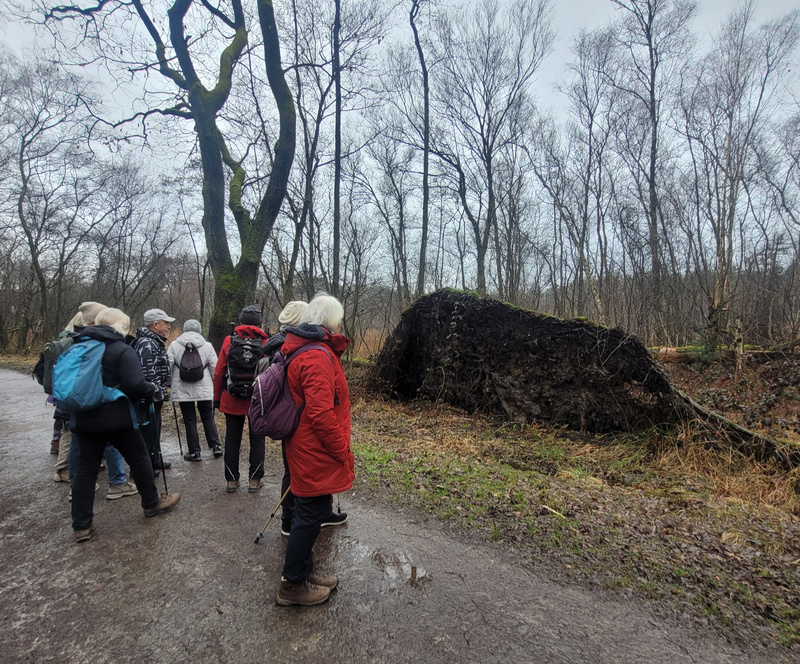 2026-02-16 1000106008__3_.jpg.jpg