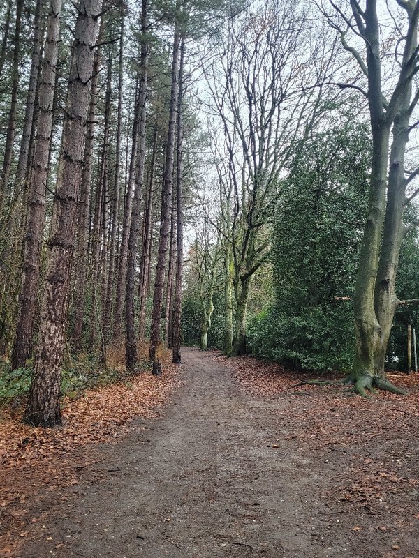 2026-02-16 1000106009__4_.jpg.jpg