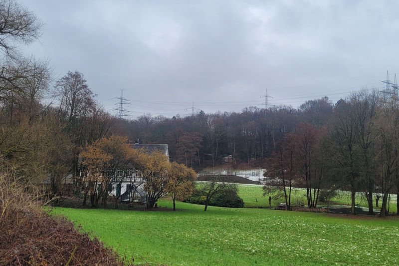 2026-02-16 1000106057__4_.jpg.jpg