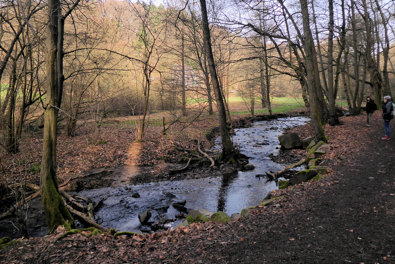 2026-03-07 p1100941__3_.jpg.jpg