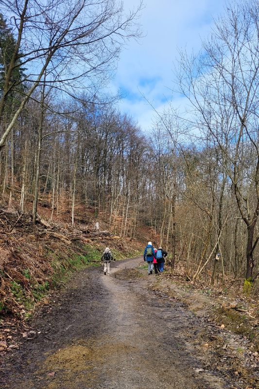 2026-03-15 1000108365__3_.jpg.jpg